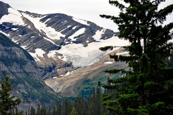 Jackson Glacier