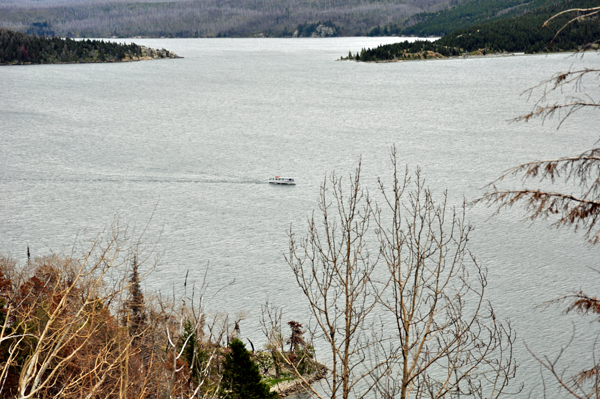 scenery in Glacier National Park