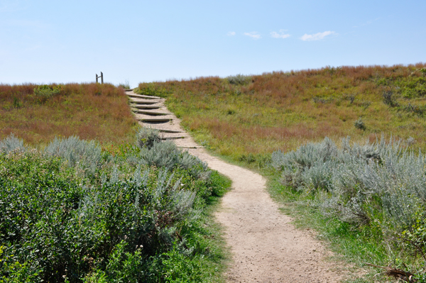 stairs to Wind Canyon Nature Trail