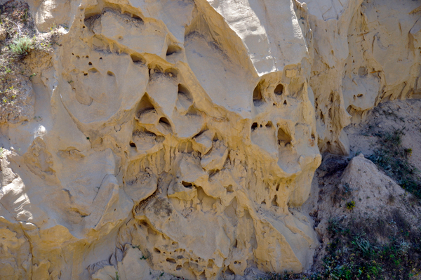 A rock with a face formation in it