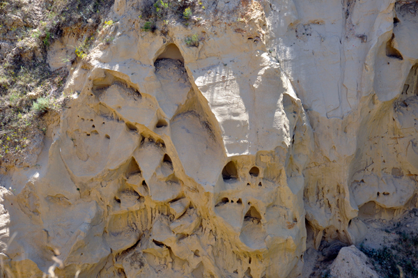 A rock with a face formation in it