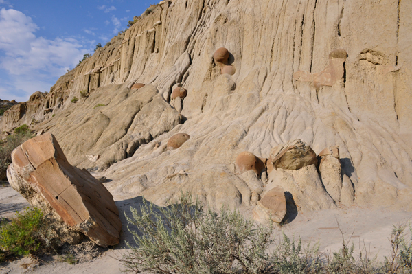 cliff with cannon ball concretions