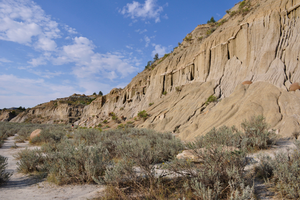 cliff with cannon ball concretions