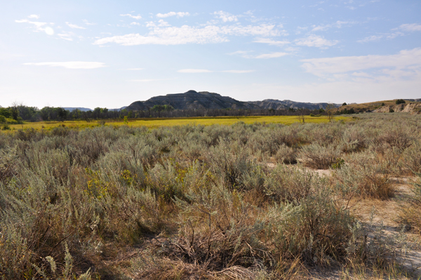 Theodore Roosevelt National Park