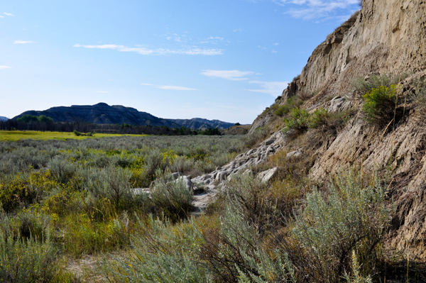 Theodore Roosevelt National Park