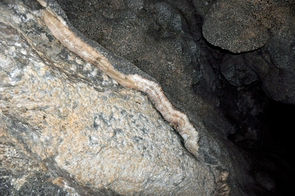 cave formations in Jewel Cave