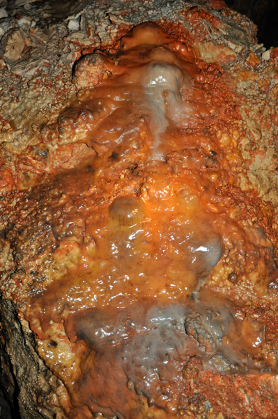 cave formations in Jewel Cave