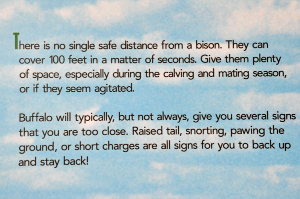 sign: safe distance from bison
