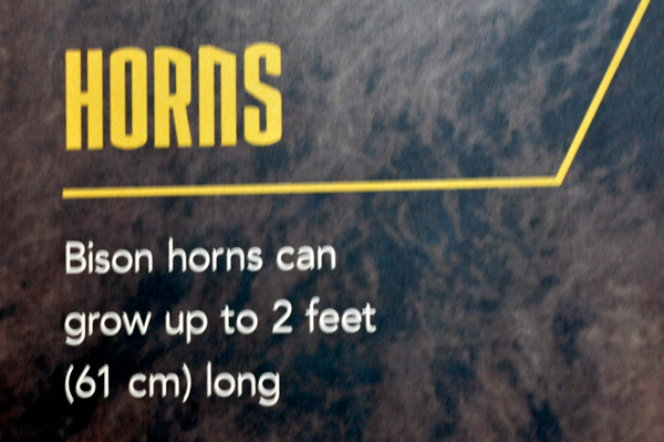 sign about buffalo horns