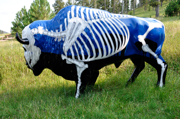 skeleton buffalo