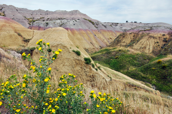 Yellow Mounds