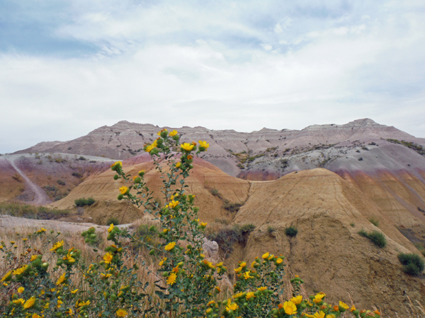 Yellow Mounds