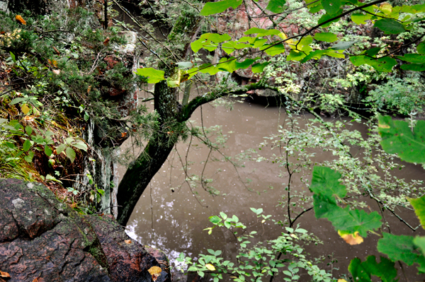 muddy looking water