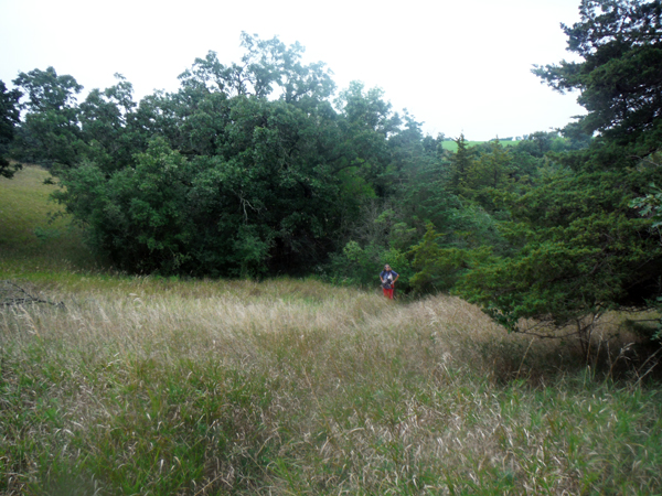 Karen Duquette in the grass at Devils Gulch