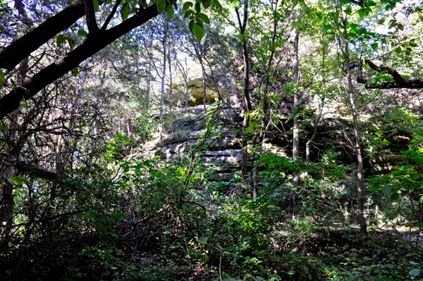 a portion of Starved Rock as seen through the trees