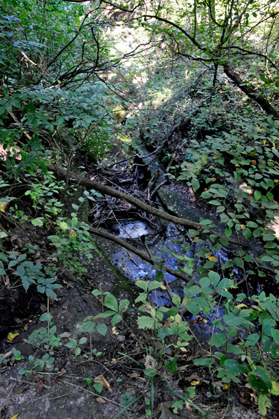 a small stream 