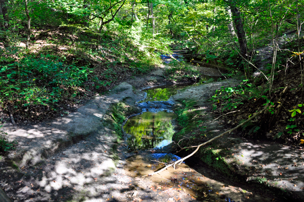 a small stream