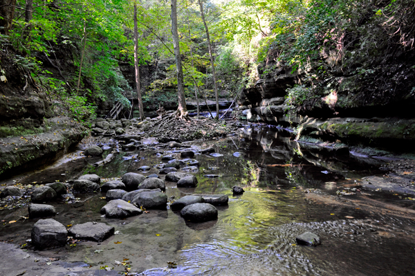 lower gorge