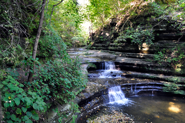 the top of the small waterfall