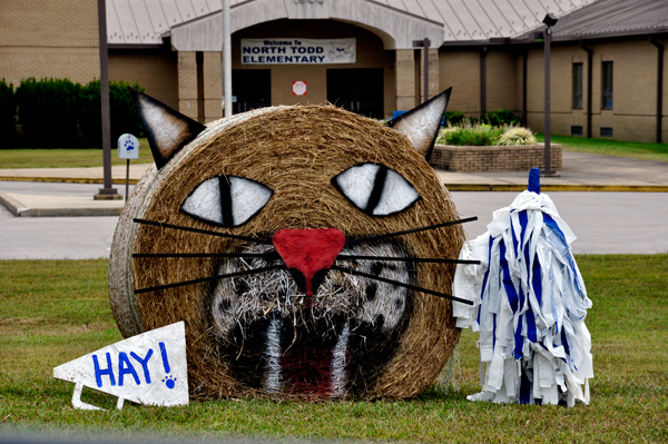 hay bale trail -  cat