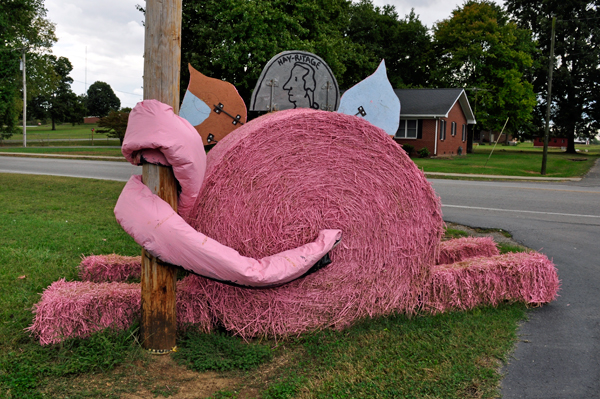 hay bale trail - pink pig