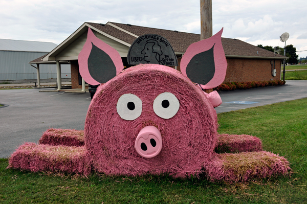 hay bale trail - pink pig