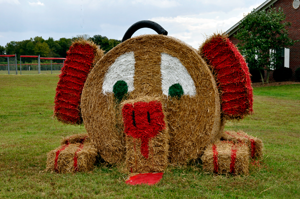 hay bale trail - puppy