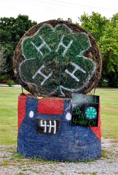 hay bale trail - 4-H