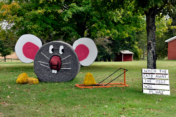 hay bale trail - mice