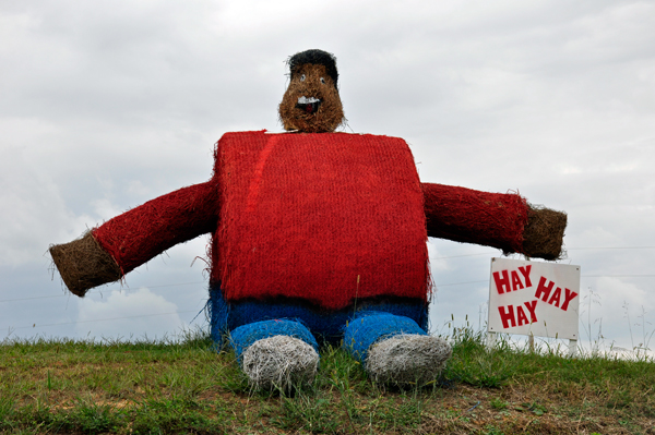 hay bale trail - albert