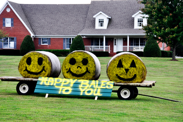 hay bale trail - 3 happy bales
