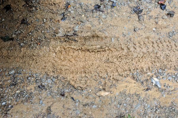 tire marks in the mus