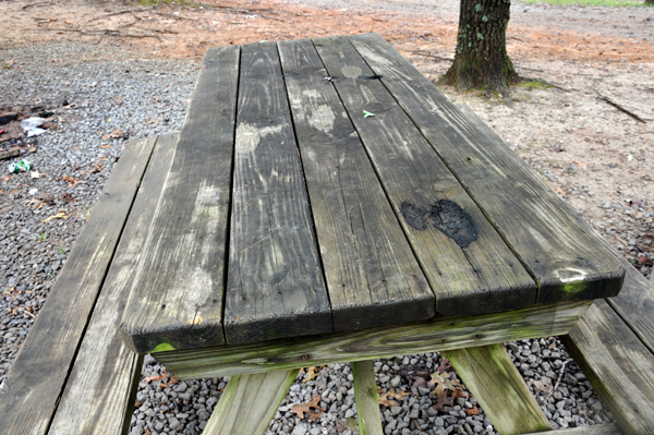 rotten picnic table