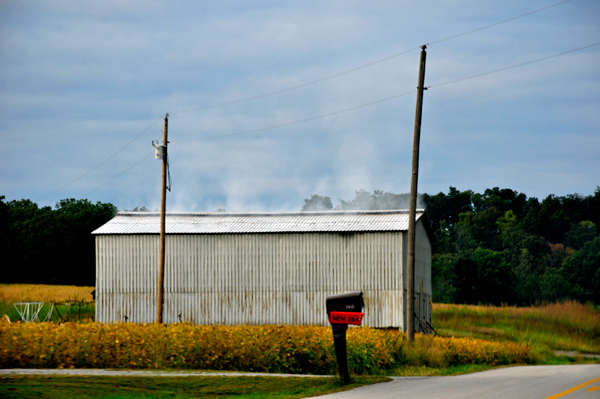 smoking tobacco barn