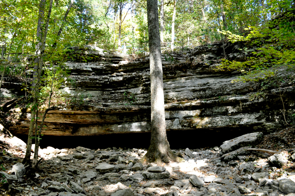 Jackson Cave 