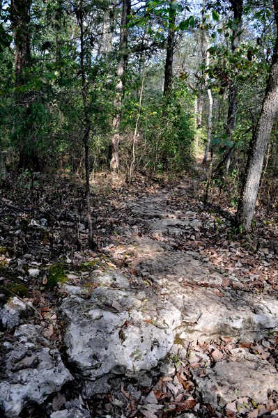 hiking trail