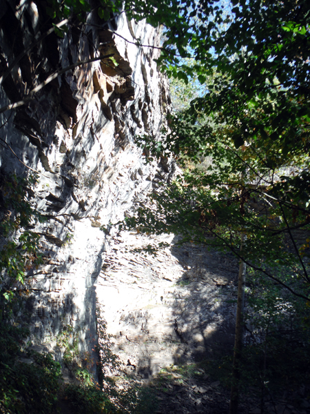 looking up at Ozone Falls