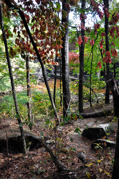 Cumberland Mountain Bridge and some fall colors