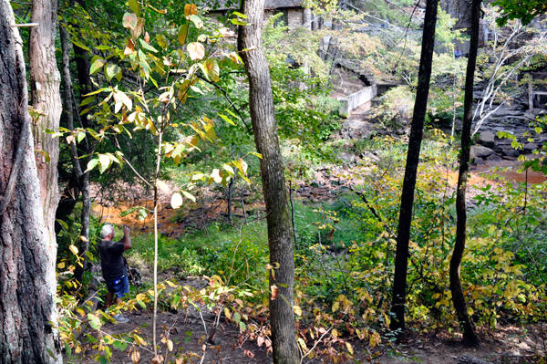 Cumberland Plateau Nature Trail 