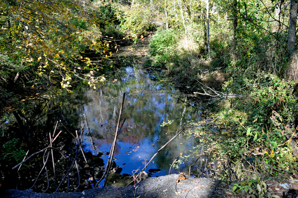 view 1 from the bridge