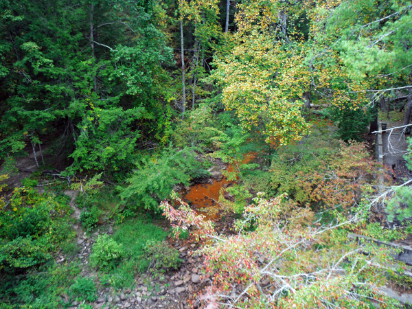 muddy brown water