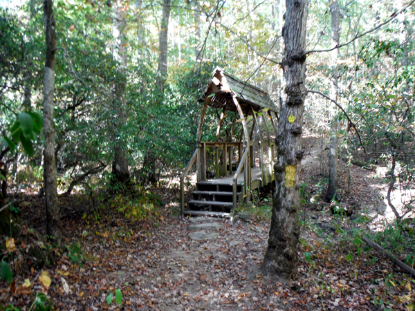 A bridge in the woods 