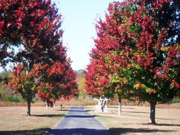 autumn colors