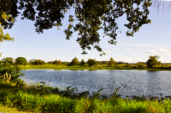 scenery in Loxahatcheee National Wildlife Refuge