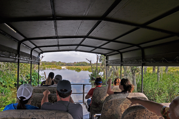 returning from the swamp buggie ride