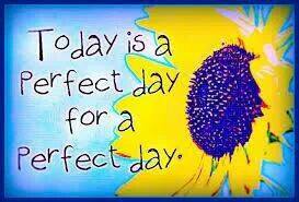 a perfect day