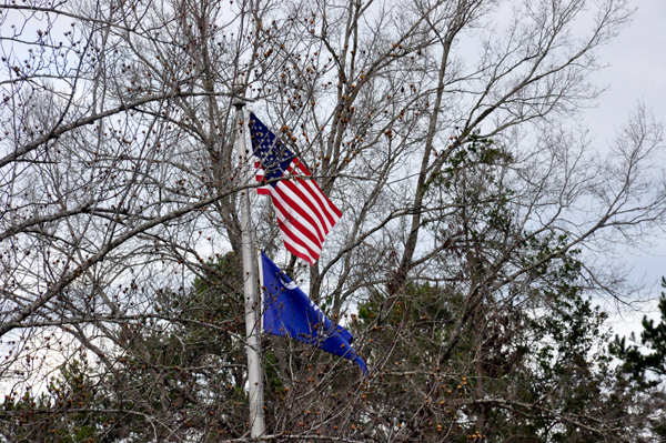 USA flag and SC state flag