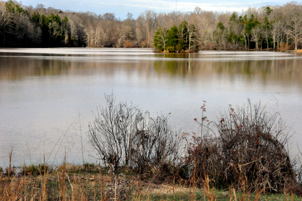 fishing lake at Andrew Jackson State Park