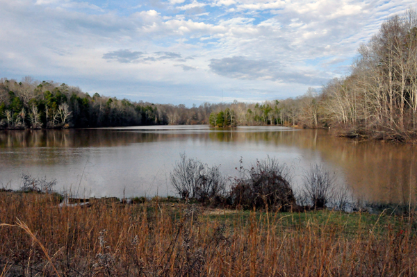 fishing lake at Andrew Jackson State Park