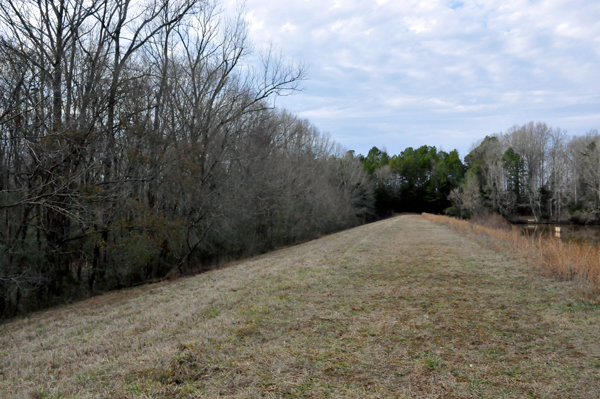 berm above the fishing lake